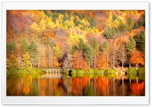 Beautiful Lake Reflection, Autumn Ultra HD Wallpaper for 4K UHD Widescreen desktop, tablet & smartphone