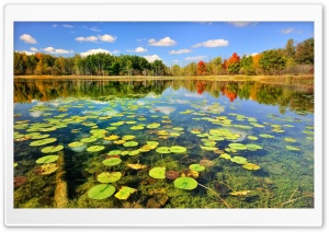 Beautiful Lake Scenery, Autumn Ultra HD Wallpaper for 4K UHD Widescreen desktop, tablet & smartphone