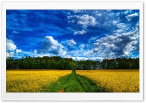 Beautiful Landscape HDR Ultra HD Wallpaper for 4K UHD Widescreen desktop, tablet & smartphone