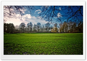 Beautiful Meadow, Spring Ultra HD Wallpaper for 4K UHD Widescreen desktop, tablet & smartphone