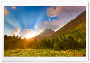 Beautiful Morning Ultra HD Wallpaper for 4K UHD Widescreen desktop, tablet & smartphone