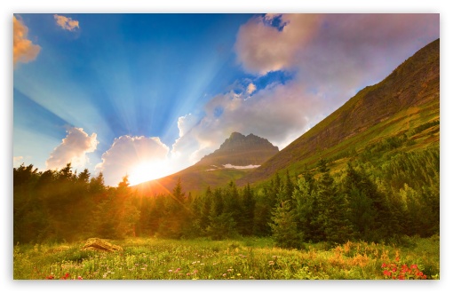 Beautiful Morning Wallpapers  Top Free Beautiful Morning Backgrounds   WallpaperAccess
