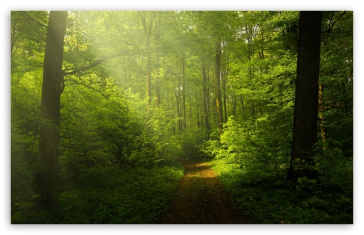 hd green nature wallpapers 1080p