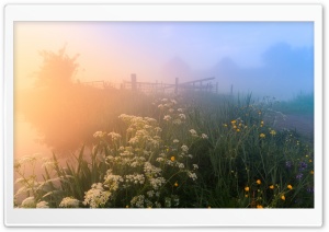 Beautiful Netherlands Nature Ultra HD Wallpaper for 4K UHD Widescreen desktop, tablet & smartphone