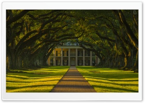 Beautiful Oak Alley Plantation Ultra HD Wallpaper for 4K UHD Widescreen Desktop, Lockscreen, Screensaver, TV, Tablet, Smartphone