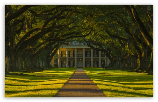 Beautiful Oak Alley Plantation UltraHD Wallpaper for UHD 16:9 ; HD 16:9 ; UltraWide 21:9 24:10 32:9 32:10 ; Widescreen 16:10 5:3 ; Fullscreen 4:3 5:4 3:2 ; Tablet 1:1 ; Mobile 9:16 9:19.5 9:20 9:21 9:22 10:16 2:3 3:5 3:4 ; Dual 16:10 5:3 16:9 4:3 5:4 3:2 ;