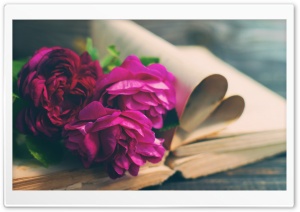 Beautiful Old Love Story Ultra HD Wallpaper for 4K UHD Widescreen desktop, tablet & smartphone
