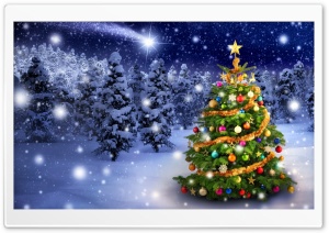 Beautiful Outdoor Christmas Tree Ultra HD Wallpaper for 4K UHD Widescreen desktop, tablet & smartphone