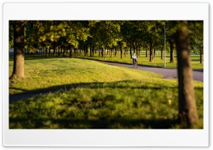 Beautiful Park Ultra HD Wallpaper for 4K UHD Widescreen desktop, tablet & smartphone