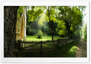 Beautiful Pathway, Summer Ultra HD Wallpaper for 4K UHD Widescreen desktop, tablet & smartphone