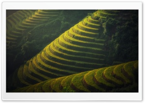 Beautiful Rice Terraces Landscape Ultra HD Wallpaper for 4K UHD Widescreen desktop, tablet & smartphone