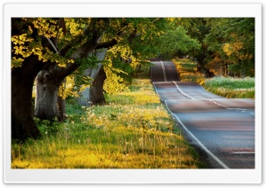 Beautiful Road Ultra HD Wallpaper for 4K UHD Widescreen desktop, tablet & smartphone