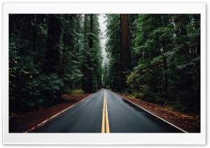 Beautiful Road Ultra HD Wallpaper for 4K UHD Widescreen desktop, tablet & smartphone