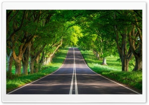 Beautiful Road in Nature 4K UHD Wallpaper for Widescreen and UltraWide Desktop, UltraHD TV, Smartphone, Tablet