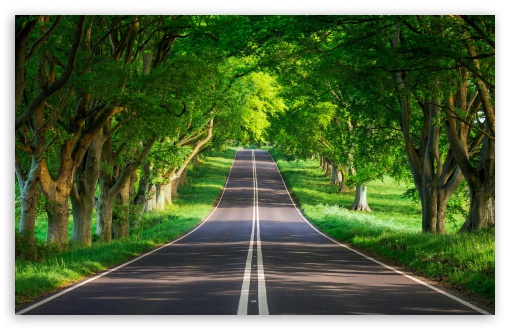 Beautiful Road in Nature UltraHD Wallpaper for UHD 16:9 ; HD 16:9 ; UltraWide 21:9 24:10 32:9 32:10 ; Widescreen 16:10 ; Tablet 1:1 ; Mobile 9:16 9:19.5 9:20 9:21 9:22 ; Dual 16:10 16:9 ;
