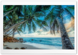 Beautiful Sight Ultra HD Wallpaper for 4K UHD Widescreen desktop, tablet & smartphone