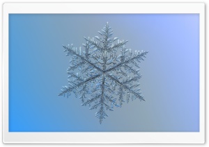 Beautiful Snowflake Magnified Ultra HD Wallpaper for 4K UHD Widescreen desktop, tablet & smartphone