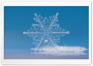 Beautiful Snowflake Photography Ultra HD Wallpaper for 4K UHD Widescreen desktop, tablet & smartphone