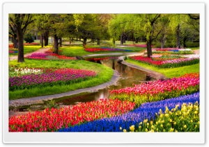 Beautiful Spring Garden Ultra HD Wallpaper for 4K UHD Widescreen desktop, tablet & smartphone