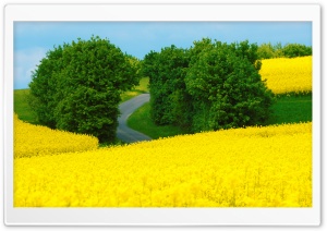 Beautiful Spring Landscape Ultra HD Wallpaper for 4K UHD Widescreen desktop, tablet & smartphone