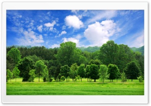 Beautiful Summer Landscape Ultra HD Wallpaper for 4K UHD Widescreen desktop, tablet & smartphone