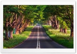 Beautiful Summer Travel Ultra HD Wallpaper for 4K UHD Widescreen desktop, tablet & smartphone