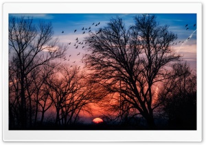 Beautiful Sunrise Ultra HD Wallpaper for 4K UHD Widescreen desktop, tablet & smartphone