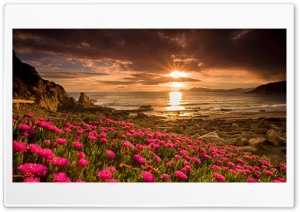 Beautiful sunset Ultra HD Wallpaper for 4K UHD Widescreen desktop, tablet & smartphone