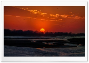 Beautiful Sunset, Sandhill Cranes flying in the sky, Platte River, Nebraska Ultra HD Wallpaper for 4K UHD Widescreen desktop, tablet & smartphone