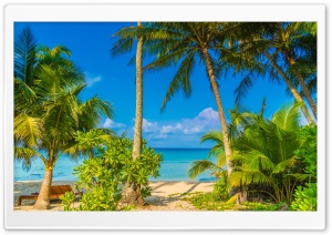 Beautiful Tropical Beach 4K UHD Wallpaper for Widescreen and UltraWide Desktop, UltraHD TV, Smartphone, Tablet