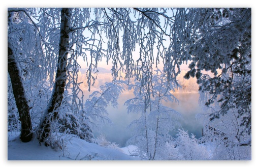 Frost Wallpaper Images  Free Download on Freepik