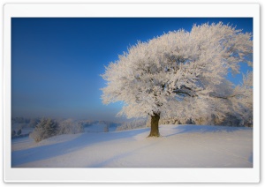 Beautiful Winter Landscape Ultra HD Wallpaper for 4K UHD Widescreen desktop, tablet & smartphone