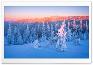 Beautiful Winter Landscape with Snowy Mountains and Trees 4K UHD Wallpaper for Widescreen and UltraWide Desktop, UltraHD TV, Smartphone, Tablet