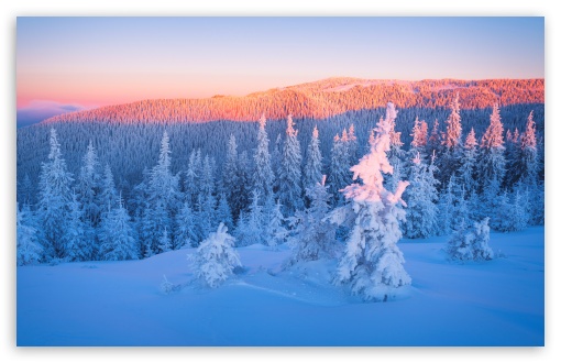 Beautiful Winter Landscape with Snowy Mountains and Trees UltraHD Wallpaper for UHD 16:9 ; HD 16:9 ; UltraWide 21:9 24:10 32:9 32:10 ; Widescreen 16:10 5:3 ; Fullscreen 4:3 5:4 3:2 ; Tablet 1:1 ; Mobile 9:16 9:19.5 9:20 9:21 10:16 2:3 3:5 3:4 ; Dual 16:10 5:3 16:9 4:3 5:4 3:2 ;