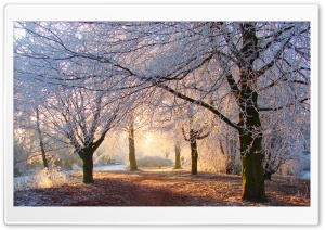 Beautiful Winter Light Ultra HD Wallpaper for 4K UHD Widescreen desktop, tablet & smartphone