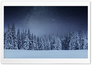 Beautiful Winter Night Ultra HD Wallpaper for 4K UHD Widescreen desktop, tablet & smartphone