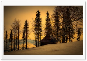 Beautiful Winter Twilight Ultra HD Wallpaper for 4K UHD Widescreen desktop, tablet & smartphone