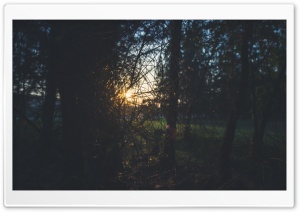 Beauty in Nature Ultra HD Wallpaper for 4K UHD Widescreen desktop, tablet & smartphone