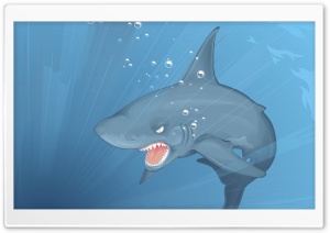 Bed Shark Ultra HD Wallpaper for 4K UHD Widescreen desktop, tablet & smartphone