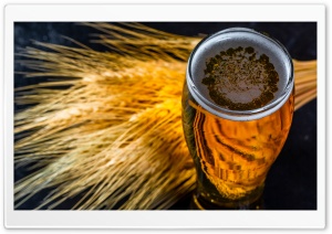 Beer Glass, Autumn Ultra HD Wallpaper for 4K UHD Widescreen desktop, tablet & smartphone