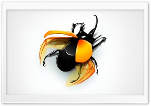 Beetle Ultra HD Wallpaper for 4K UHD Widescreen desktop, tablet & smartphone