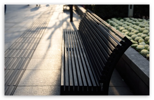 Bench UltraHD Wallpaper for UHD 16:9 2160p 1440p 1080p 900p 720p ; 8K UHD TV 16:9 Ultra High Definition 2160p 1440p 1080p 900p 720p ; Widescreen 16:10 5:3 WHXGA WQXGA WUXGA WXGA WGA ; Fullscreen 4:3 5:4 3:2 UXGA XGA SVGA QSXGA SXGA DVGA HVGA HQVGA ( Apple PowerBook G4 iPhone 4 3G 3GS iPod Touch ) ; Tablet 1:1 ; Mobile 2:3 3:5 3:4 - ;