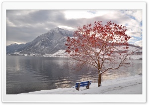 Bench By The Lake Ultra HD Wallpaper for 4K UHD Widescreen desktop, tablet & smartphone