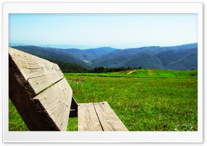 Bench in Greens- Kartepe Kocaeli Ultra HD Wallpaper for 4K UHD Widescreen Desktop, Lockscreen, Screensaver, TV, Tablet, Smartphone