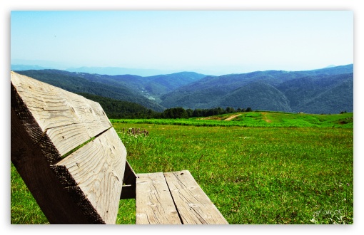 Bench in Greens- Kartepe Kocaeli UltraHD Wallpaper for UHD 16:9 ; HD 16:9 ; Widescreen 16:10 5:3 ; Fullscreen 3:2 ;