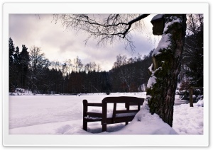 Bench In Winter Ultra HD Wallpaper for 4K UHD Widescreen desktop, tablet & smartphone