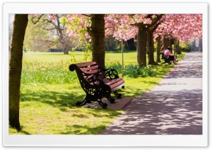 Bench Springtime Ultra HD Wallpaper for 4K UHD Widescreen desktop, tablet & smartphone