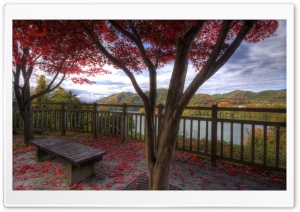 Bench Under Red Trees Ultra HD Wallpaper for 4K UHD Widescreen desktop, tablet & smartphone