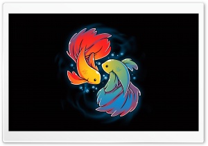 Betta Fish illustration Ultra HD Wallpaper for 4K UHD Widescreen desktop, tablet & smartphone