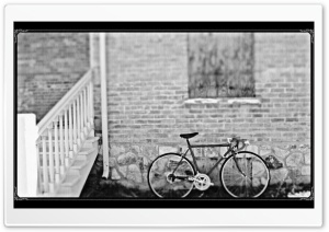 Bicycle Black & White Ultra HD Wallpaper for 4K UHD Widescreen desktop, tablet & smartphone